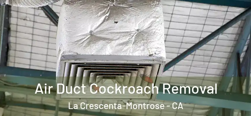  Air Duct Cockroach Removal La Crescenta-Montrose - CA