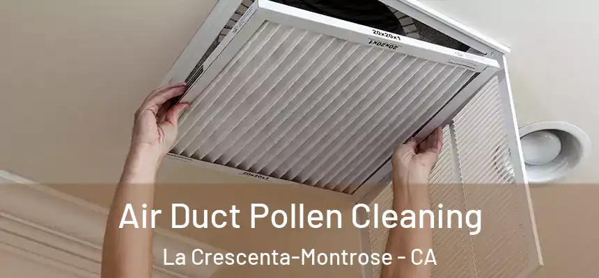 Air Duct Pollen Cleaning La Crescenta-Montrose - CA