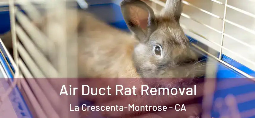 Air Duct Rat Removal La Crescenta-Montrose - CA