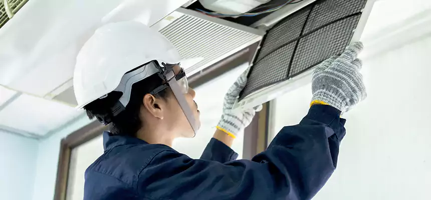 Our Mold & Mildew Removal from Air Ducts Services in La Crescenta-Montrose, CA