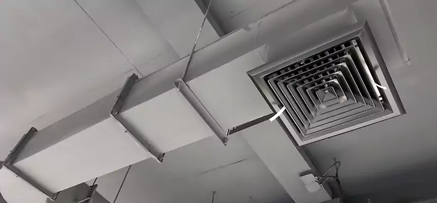 Our Pest Removal From Ducts Services in La Crescenta-Montrose, CA