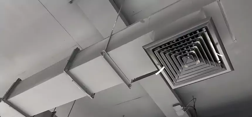 Our Rodent Droppings In Vents Services in La Crescenta-Montrose, CA