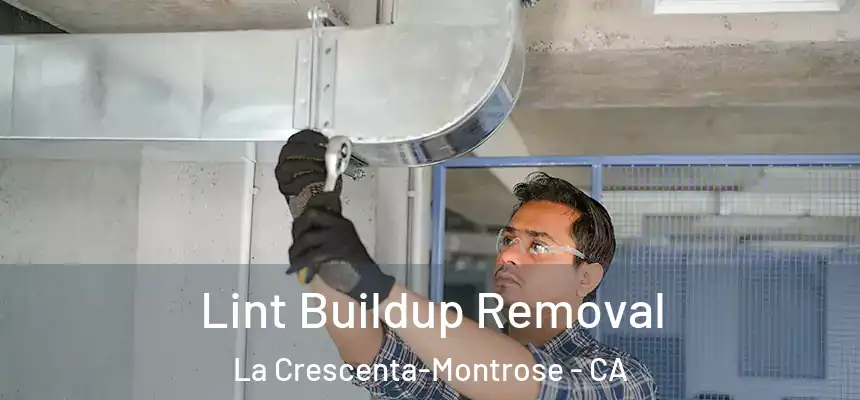  Lint Buildup Removal La Crescenta-Montrose - CA