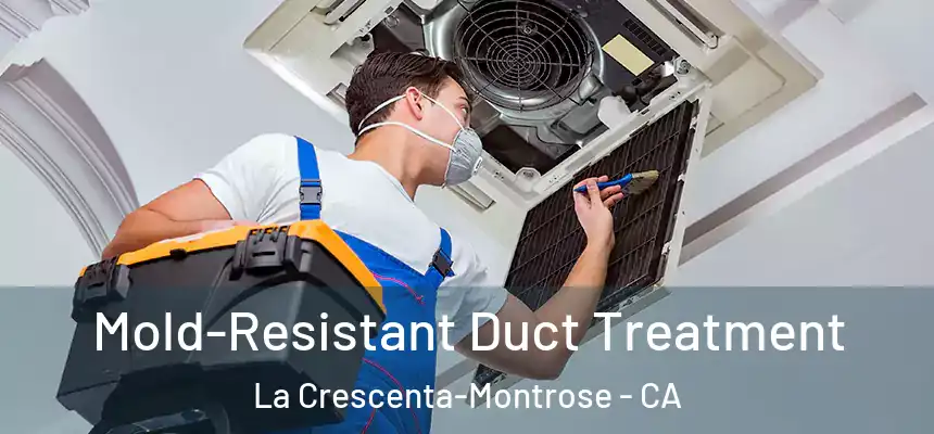 Mold-Resistant Duct Treatment La Crescenta-Montrose - CA