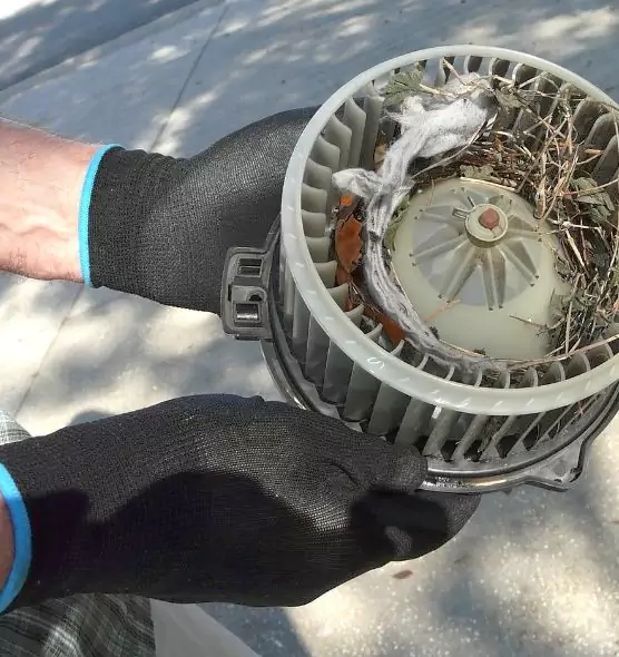 About Air Duct Mice Removal in La Crescenta-Montrose, CA