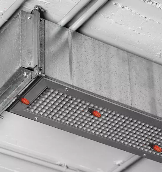 Affordable Insect Removal from Air Ducts in La Crescenta-Montrose, CA