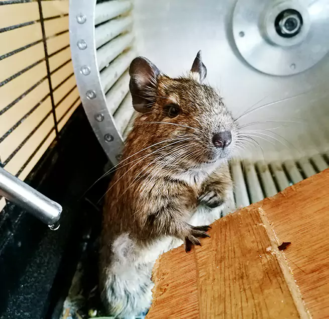 Why Homeowners & Businesses Trust Us La Crescenta-Montrose, CA