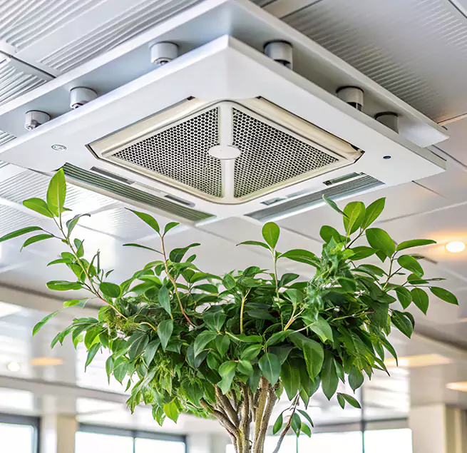 Why Homeowners & Businesses Trust Us in La Crescenta-Montrose, CA?